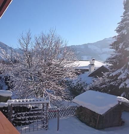 Chalet Yulia Zell am See Extérieur photo